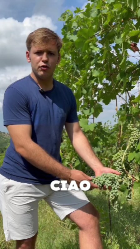 Nebbiolo d'Alba “Simun”